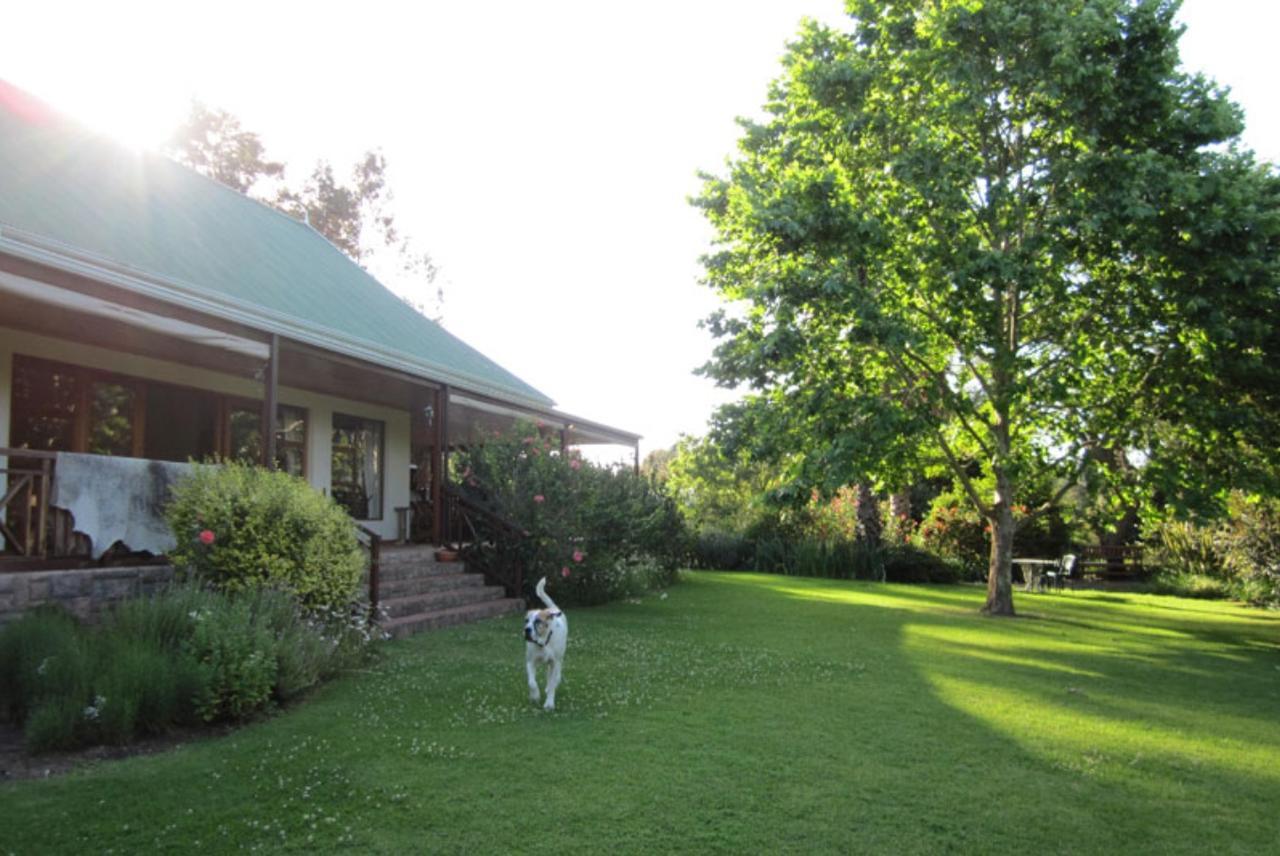 Forest Glen Acomodação com café da manhã Knysna Exterior foto